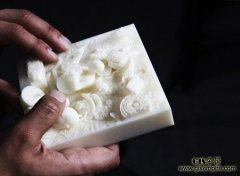 VERSOTEQ 3D��ӡ������ͼ��������ʿ�ĵ�����