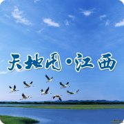 ϢӦƹǰ