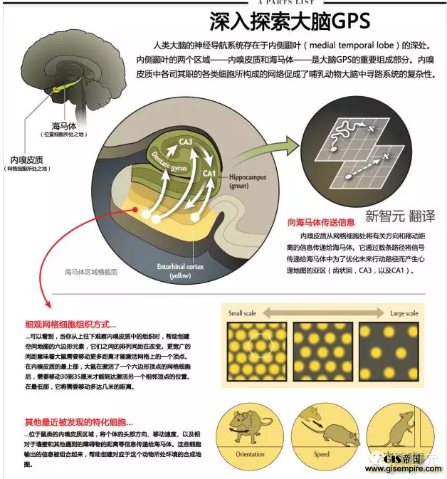 在拥有GPS之前,人类是如何导航的?