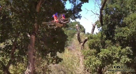 Skydio����ȫ�Զ����Ϸ��е����˻�