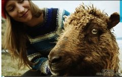 ��ȸ�ܾ� ƫԶС��������������־�
